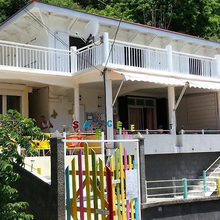 Appartamento Escale Creole Terre-De-Haut Esterno foto